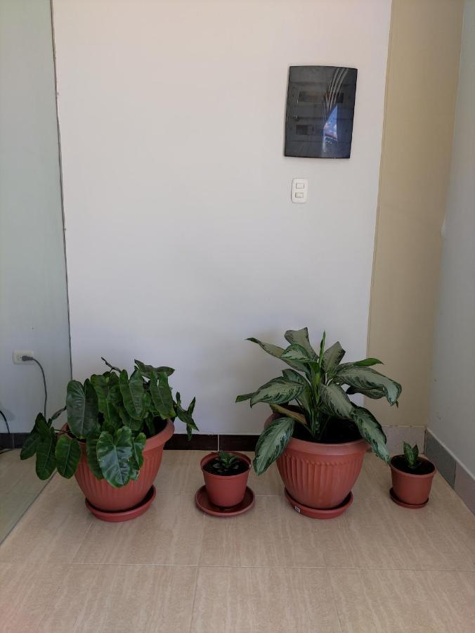 פוארטו מלדונדו Hotel Tambopata Inn מראה חיצוני תמונה