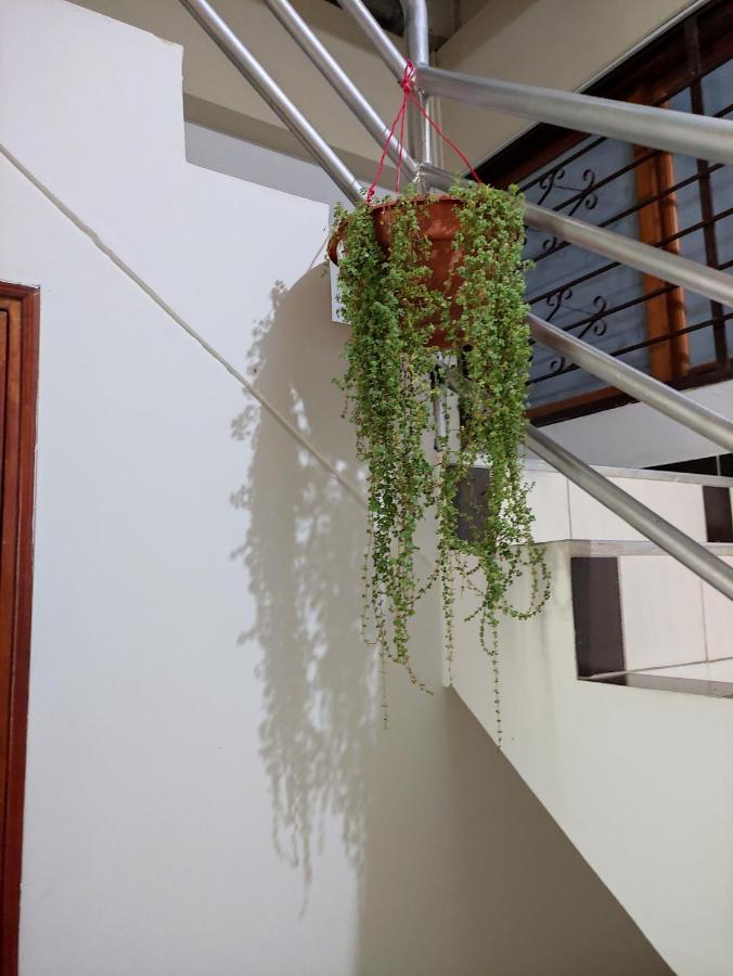 פוארטו מלדונדו Hotel Tambopata Inn מראה חיצוני תמונה
