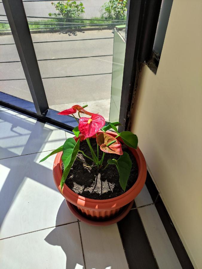 פוארטו מלדונדו Hotel Tambopata Inn מראה חיצוני תמונה